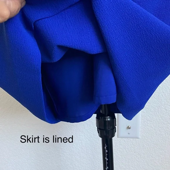 The Limited Blue Belted Dress - Picture 6 of 15